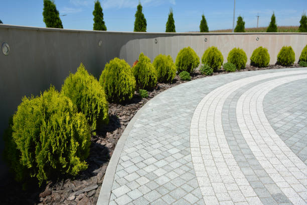 Best Cobblestone Driveway Pavers  in Second Mesa, AZ